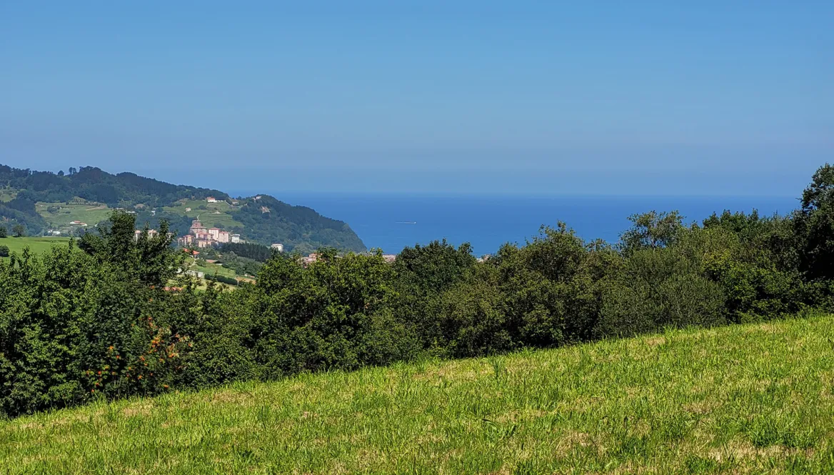 View of the coast