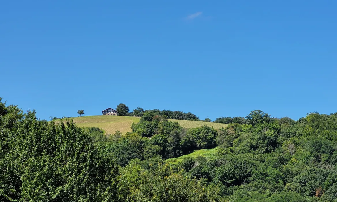 Traditional farm
