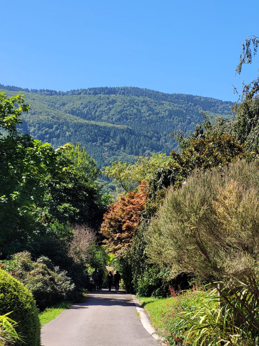 Pagoeta Park