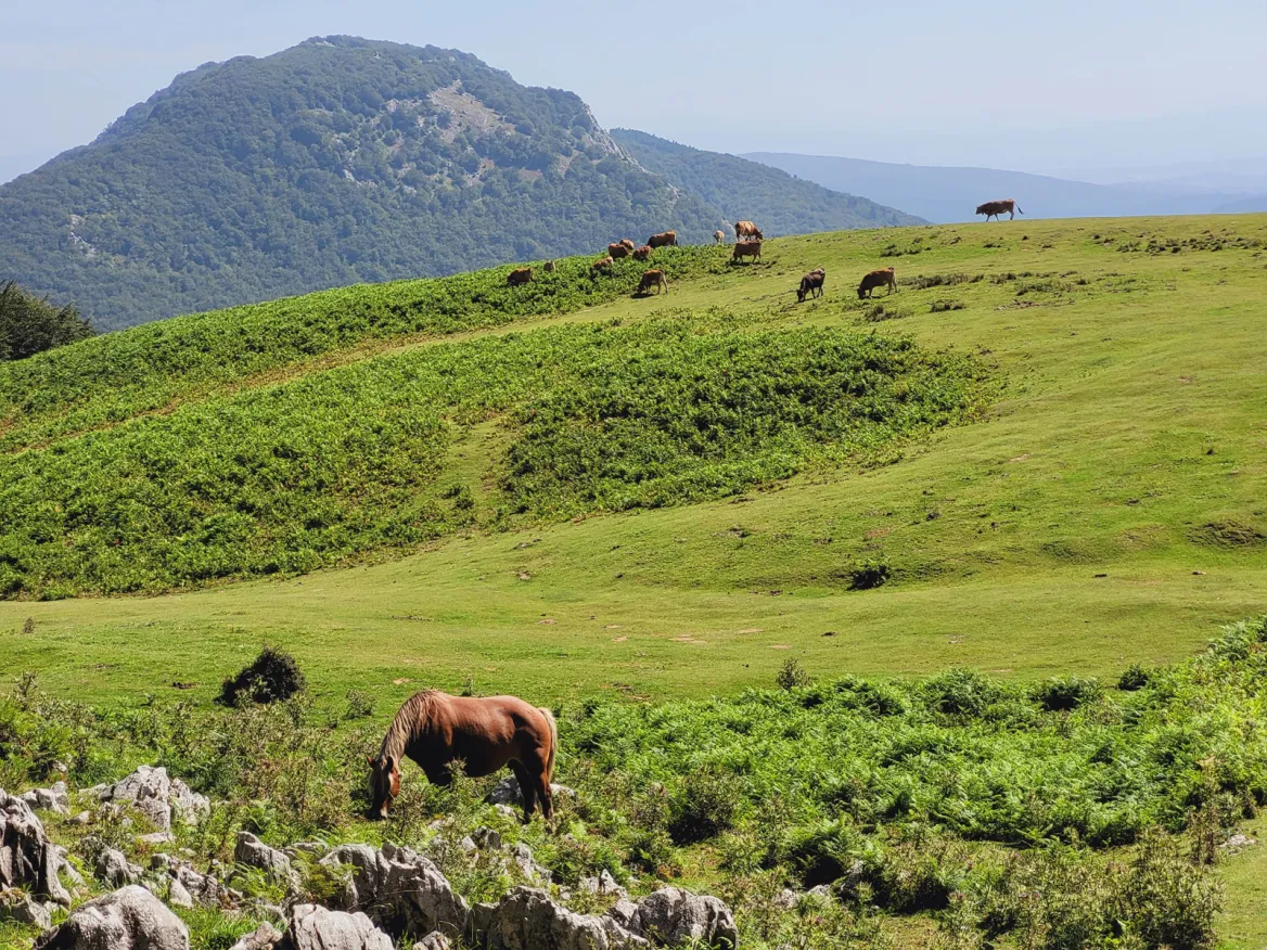 Parc Naturel Urkiola