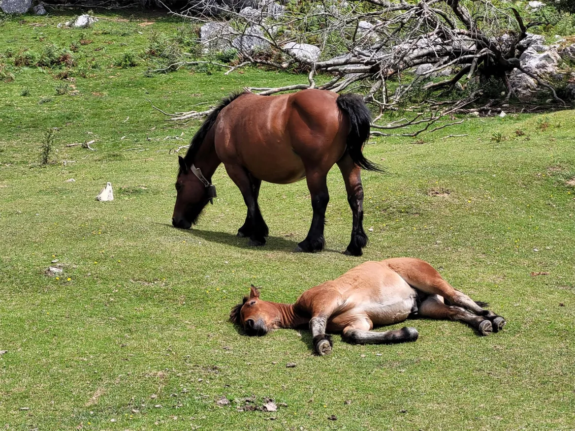 Parc Naturel Urkiola