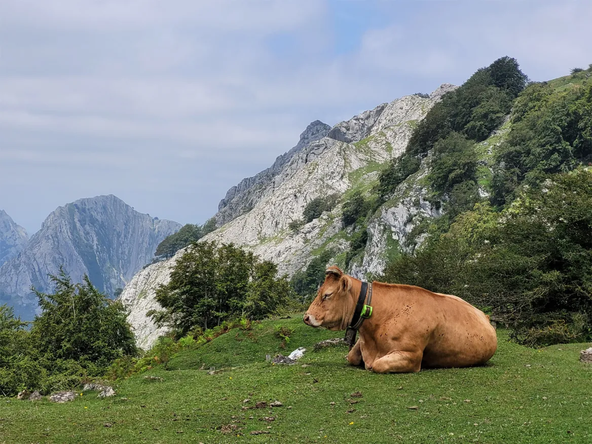 Parc Naturel Urkiola
