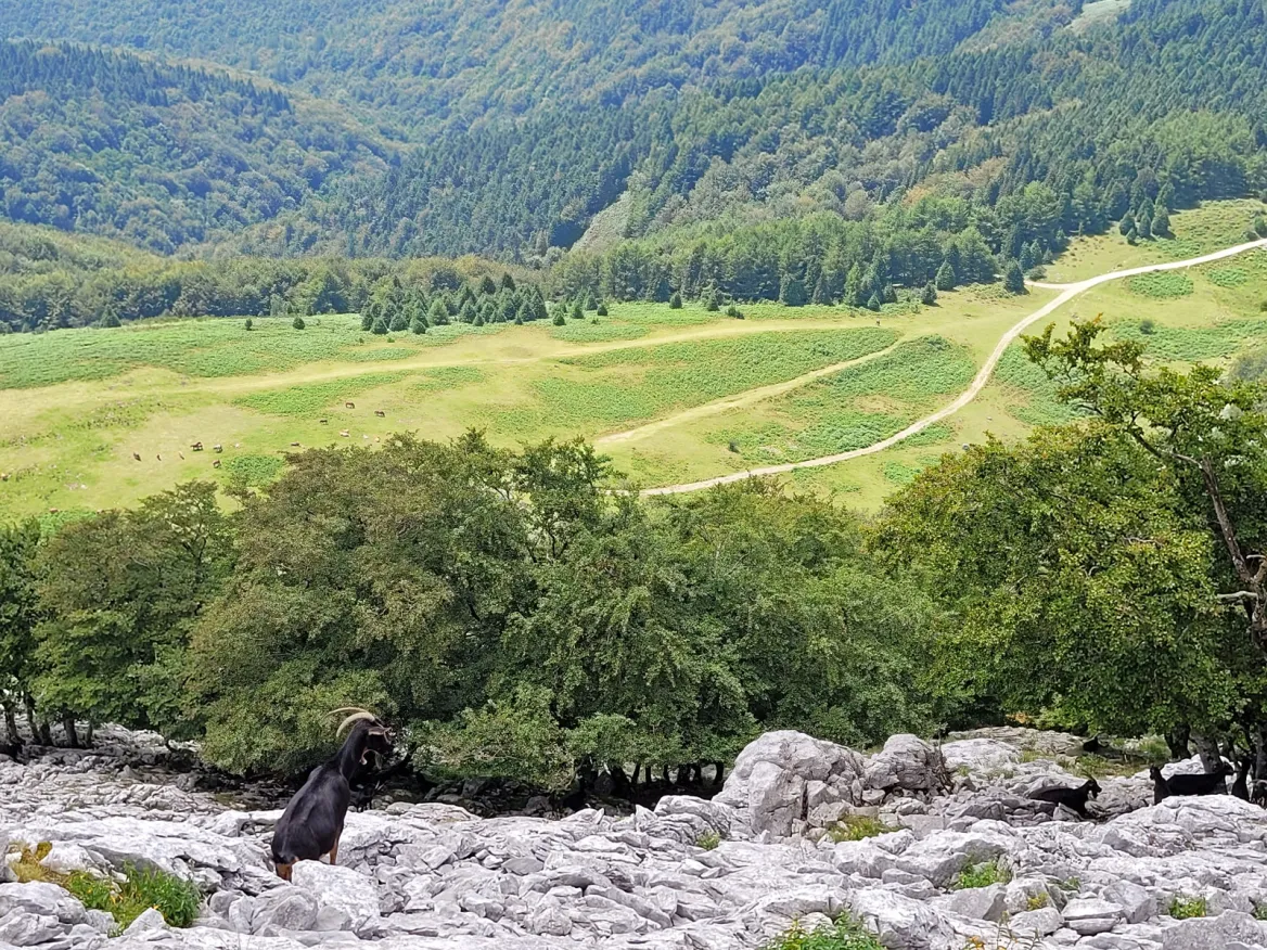 Parc Naturel Urkiola