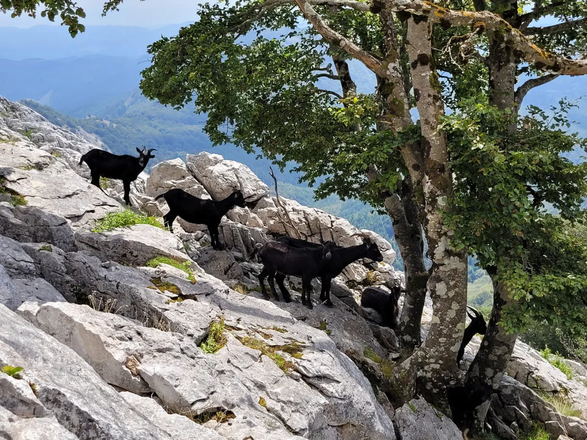 Parc Naturel Urkiola