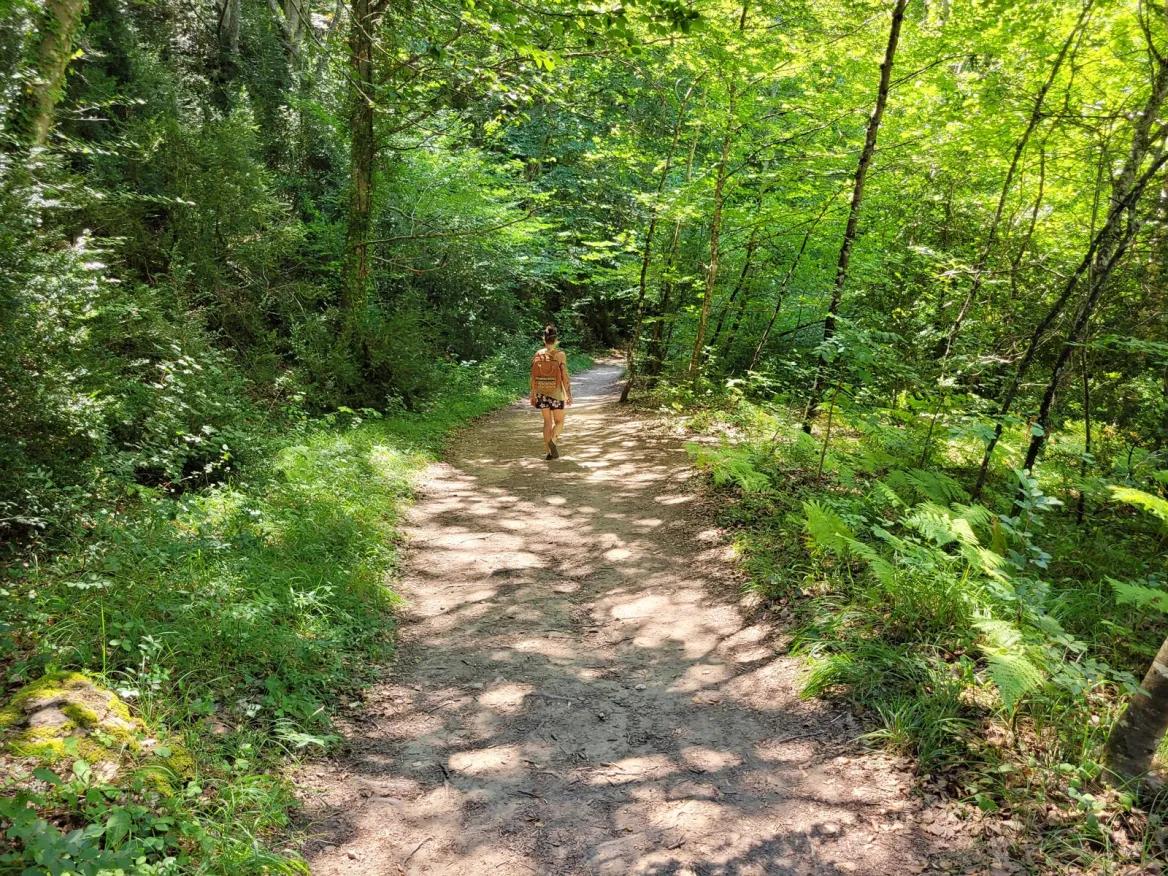 The Water Route
