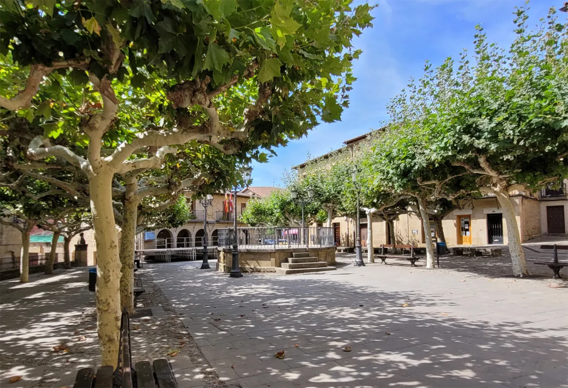 Elciego