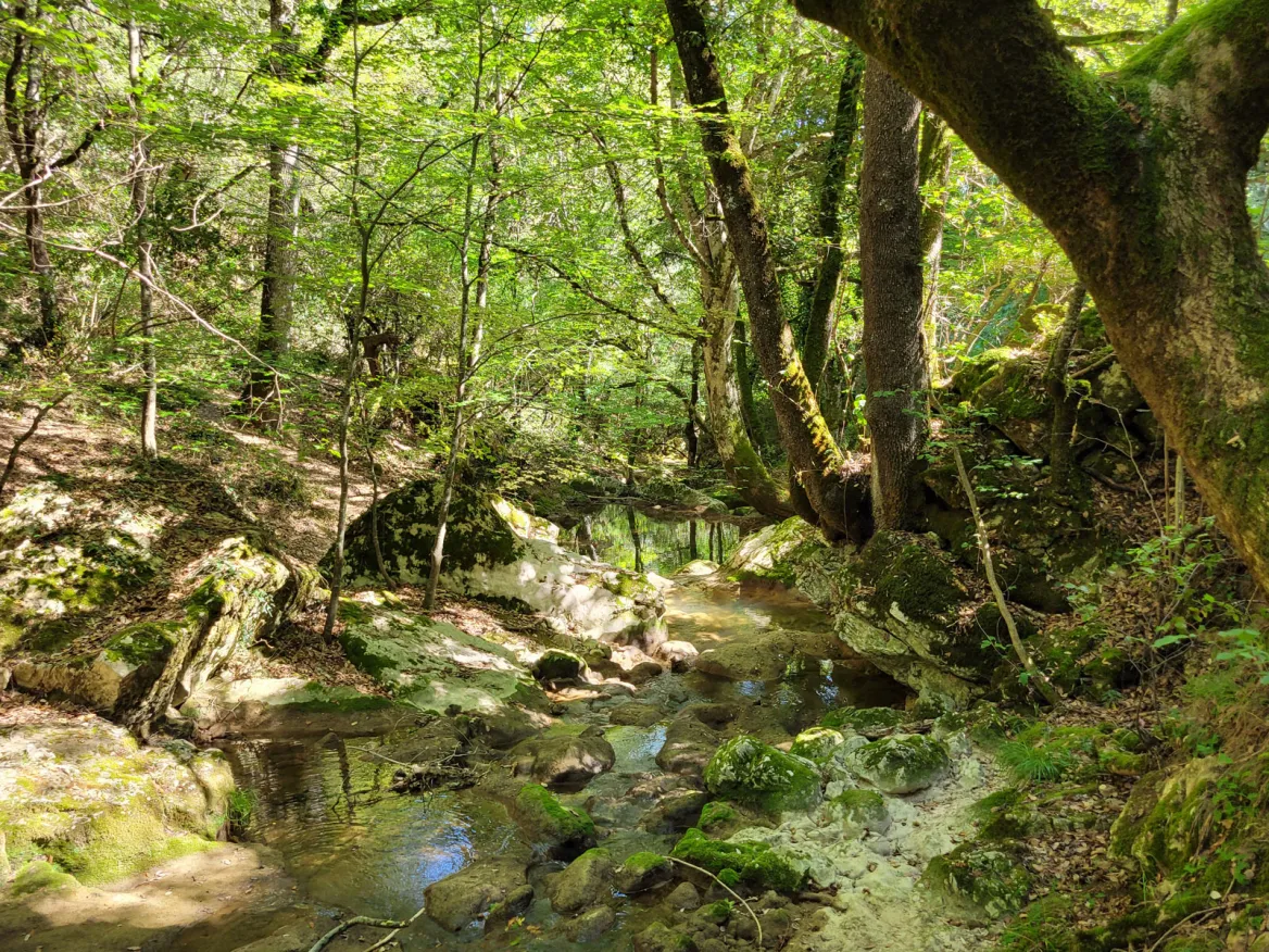 Izki Nature Park