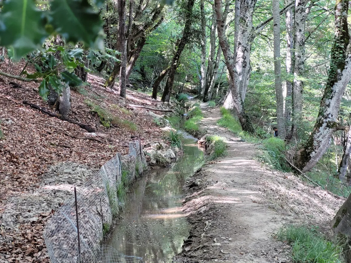 Izki Nature Park
