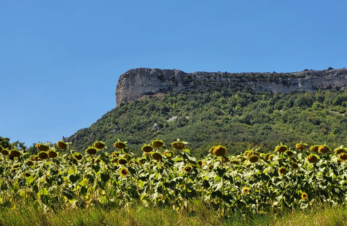 Izki Nature Park