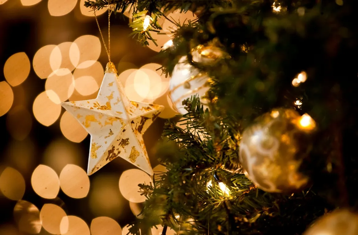 Basque Country Christmas Market
