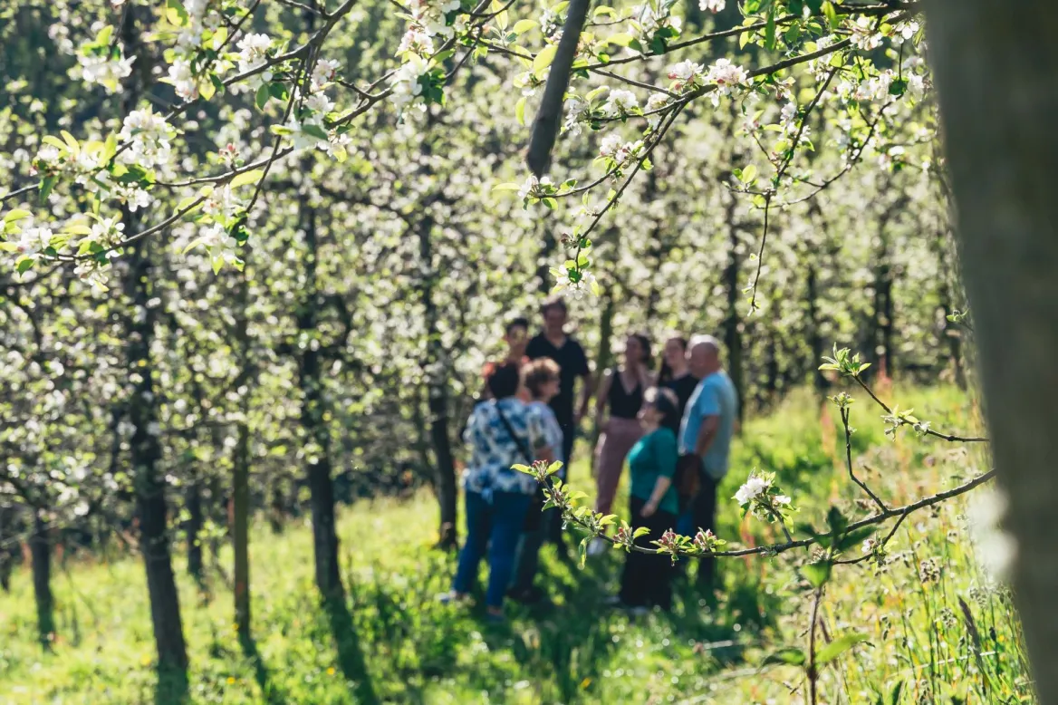 sagardoa basque cider route