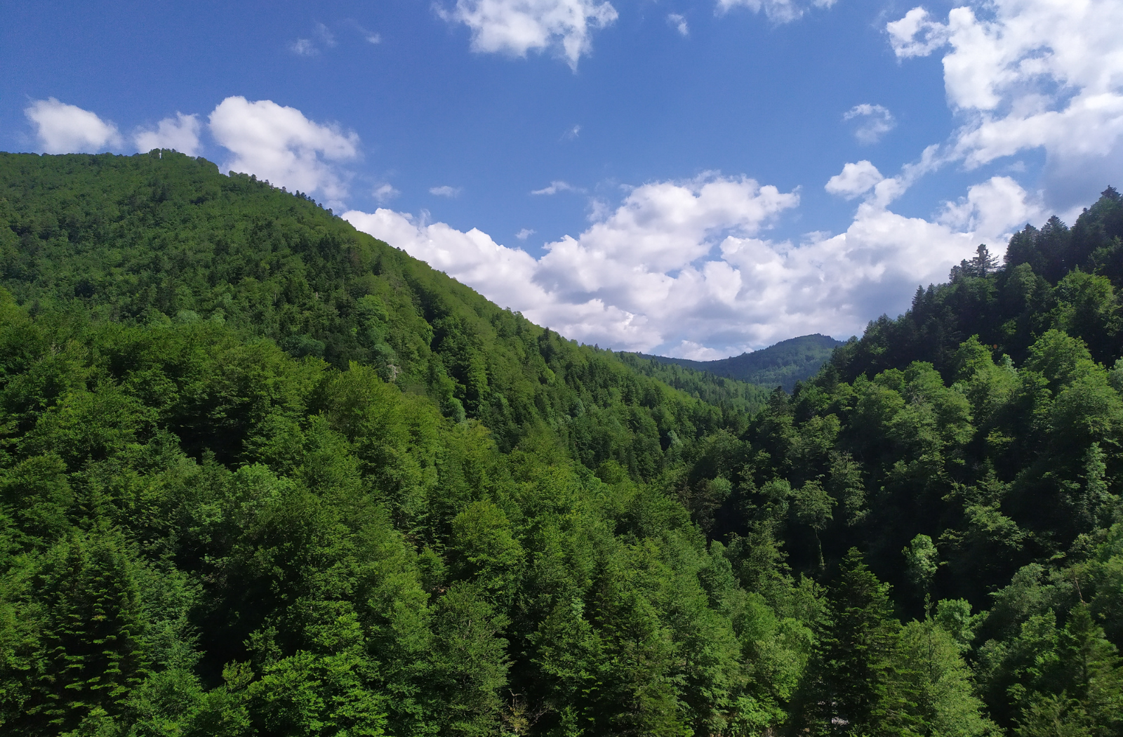 Malerreka Valley