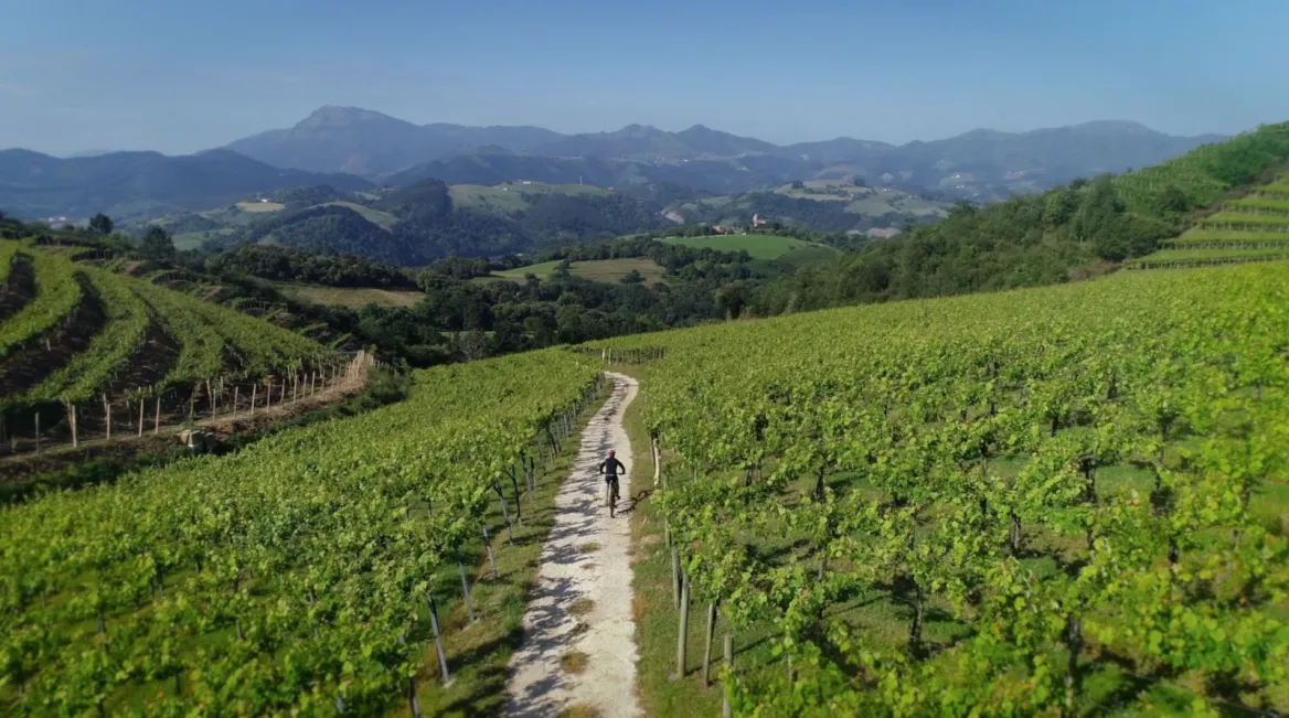 Basque Coast Geopark