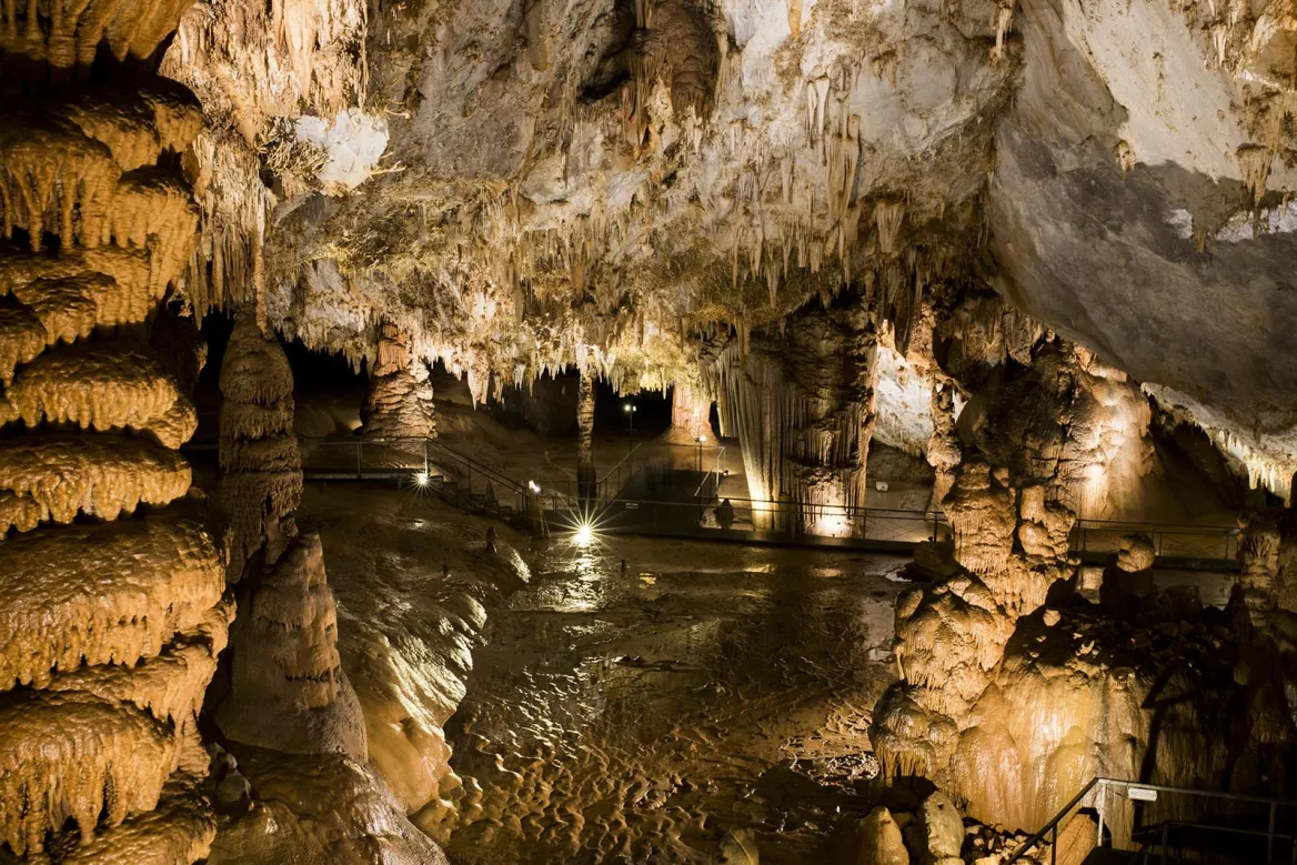 Pozalagua Cave