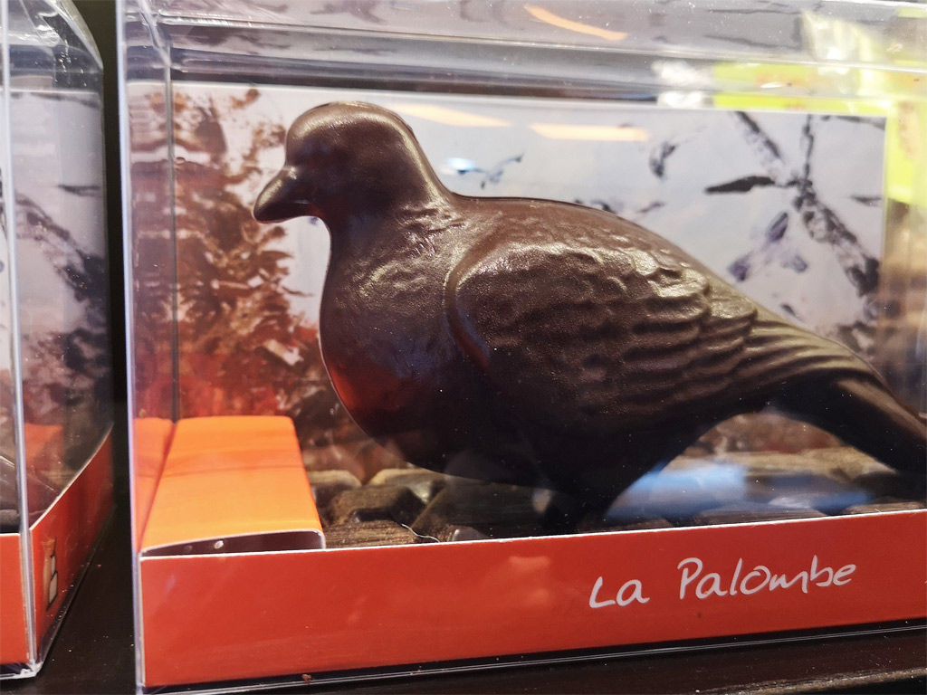 Palombes en Chocolat