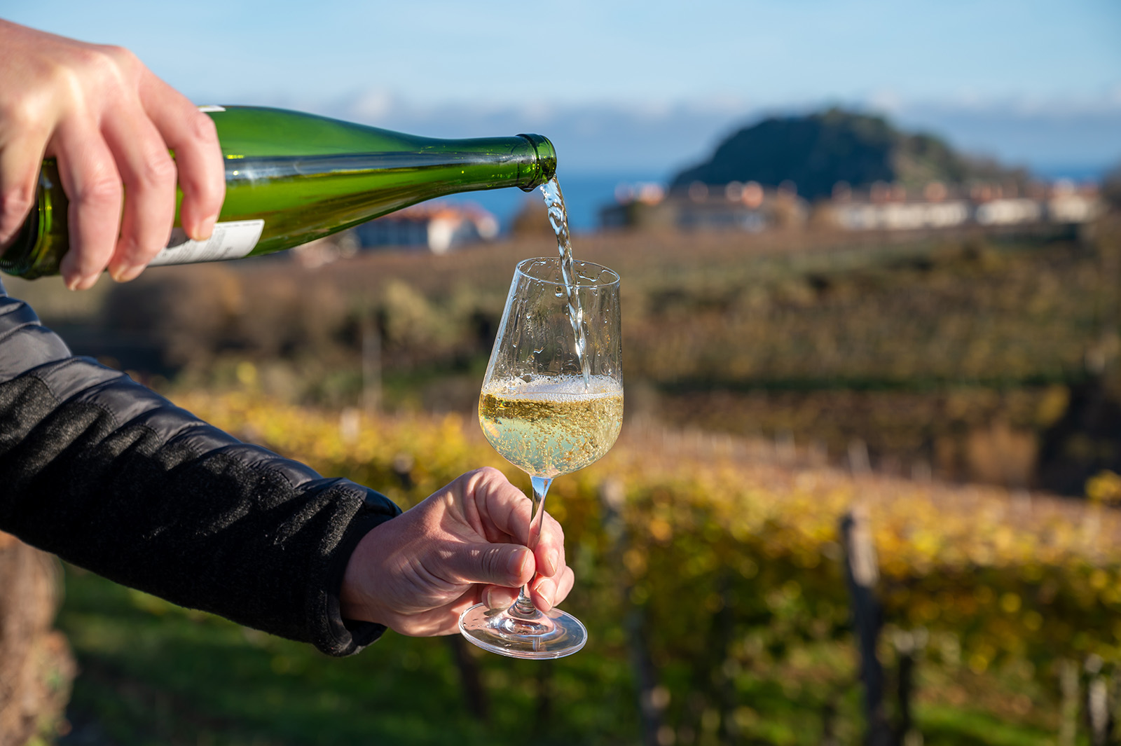 Txakoli