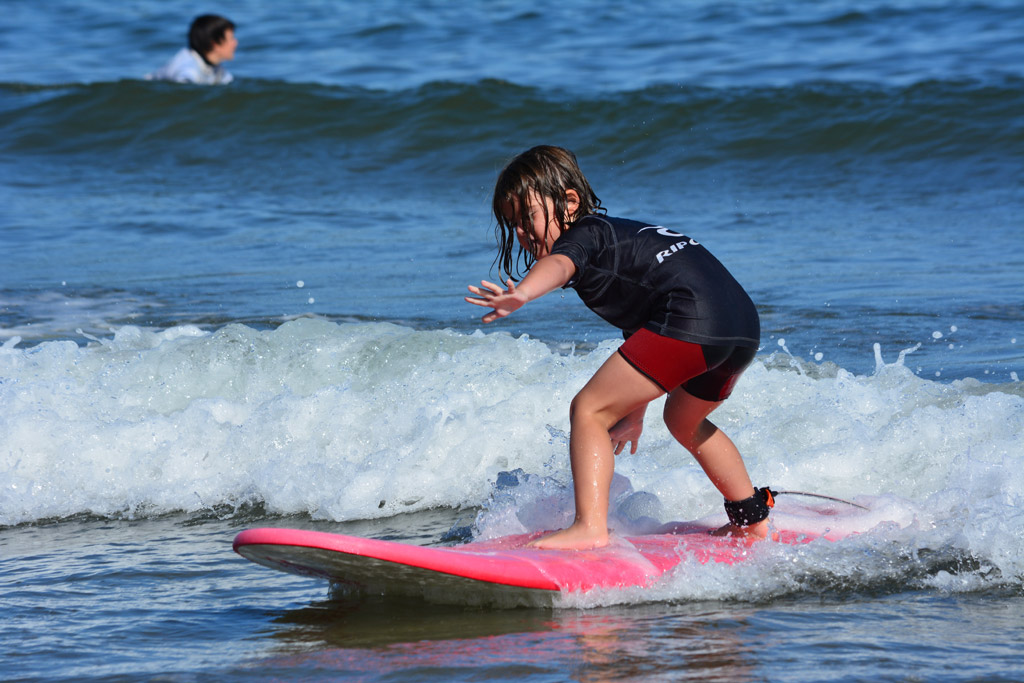 Surf Division