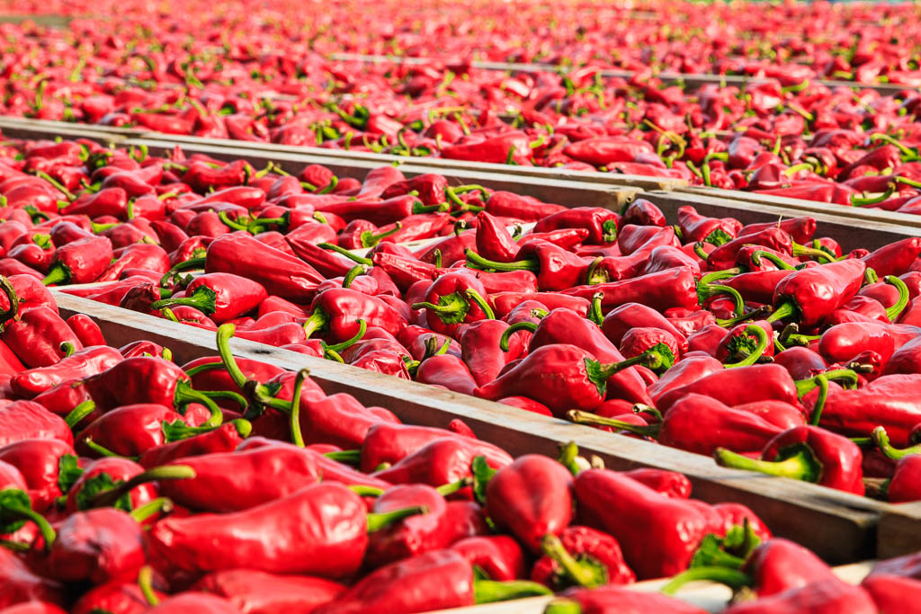 Pimiento de Espelette seco