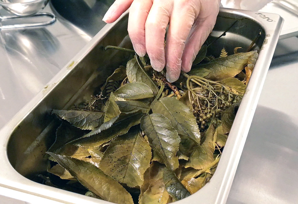With these St. John's herbs, Virginia will make an order for a cl