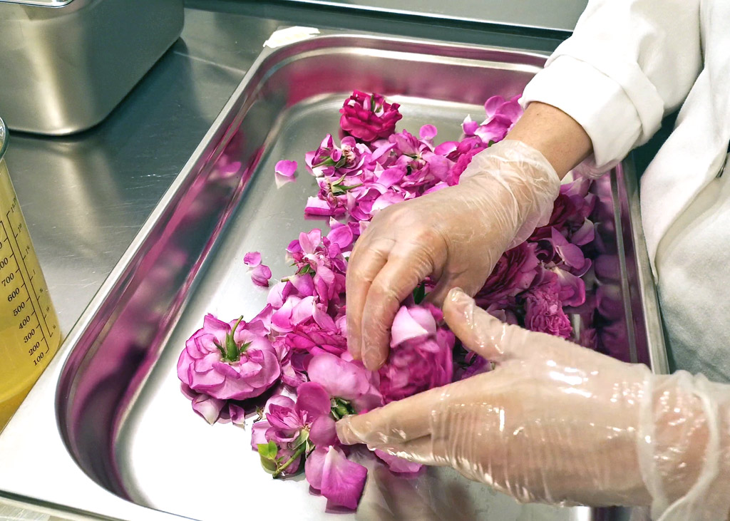 The petals of these flowers are put to rest, then we work with them.