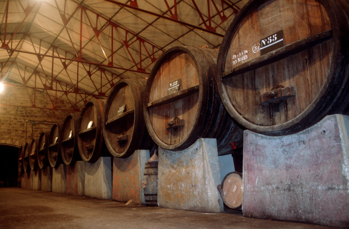 Txakoli