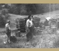 Viticulteurs d’Irouleguy