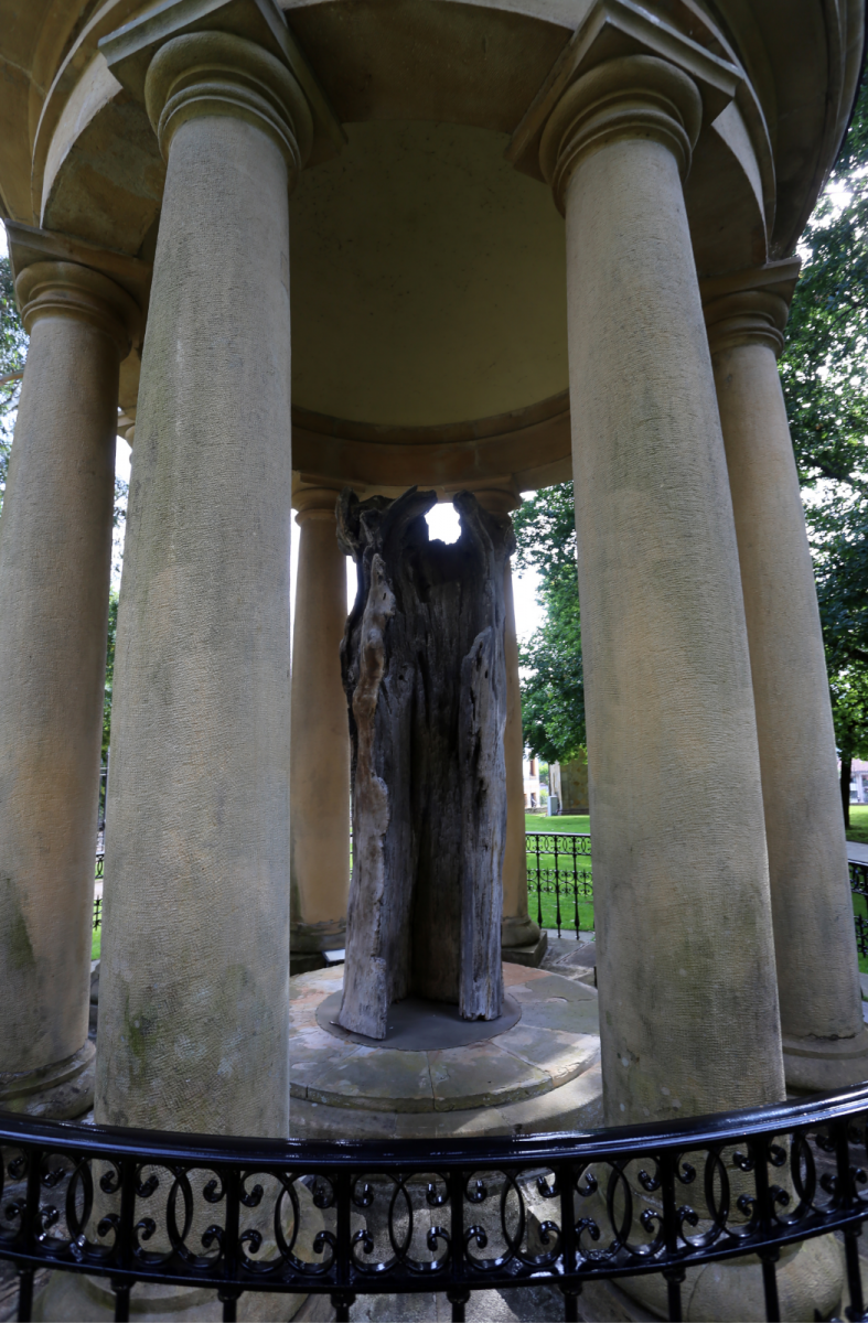 arbre guernica