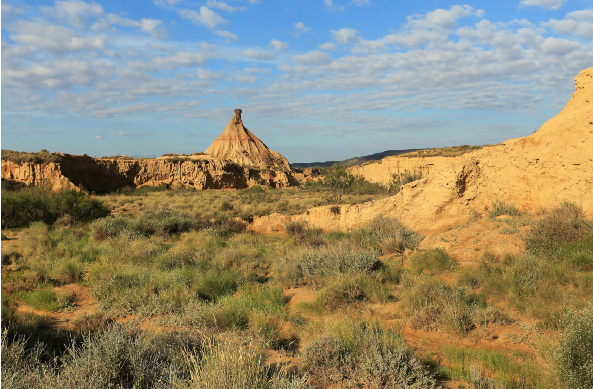 bardenas reales