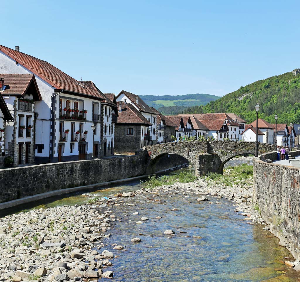 Ochagavia