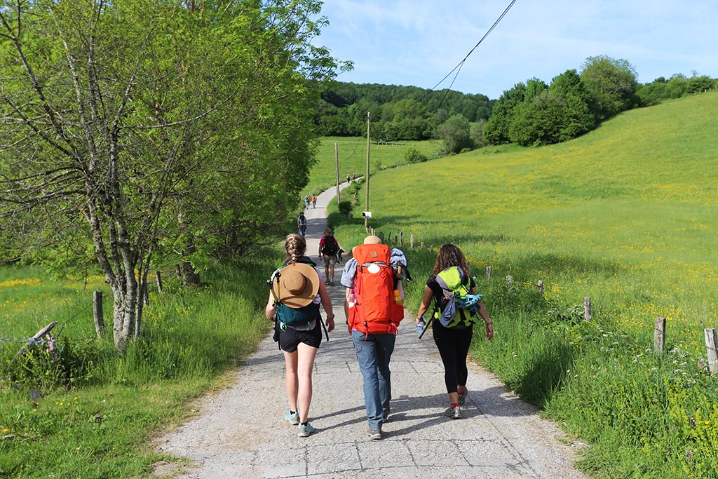 Walkers on the road to Santiago de Compostela