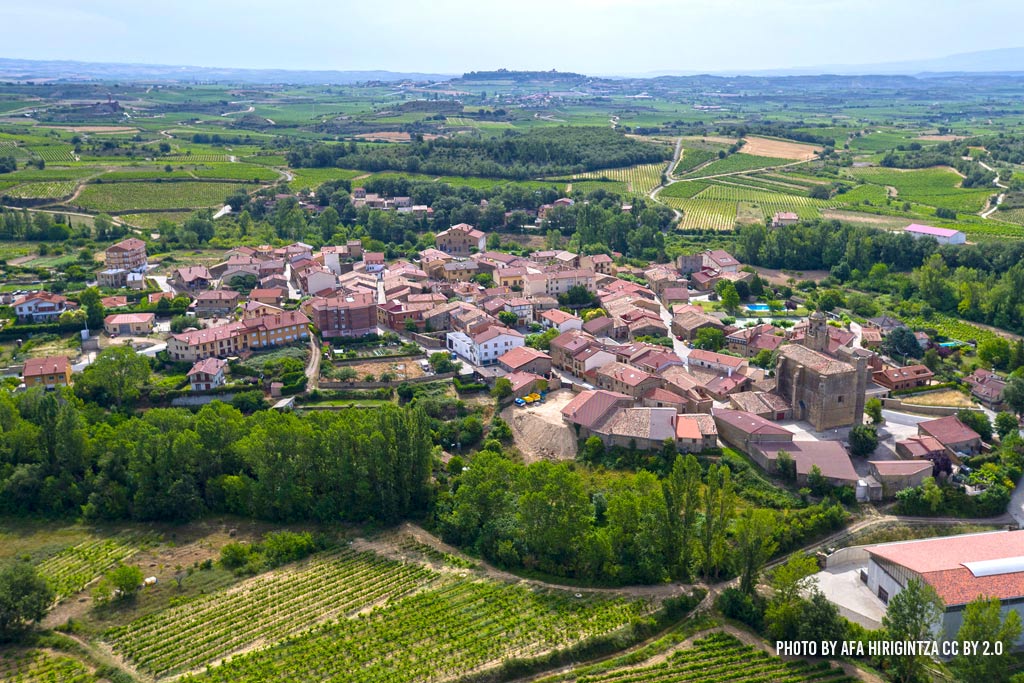 Leza et ses vignes