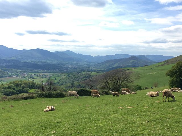 Paysage du Pays Basque