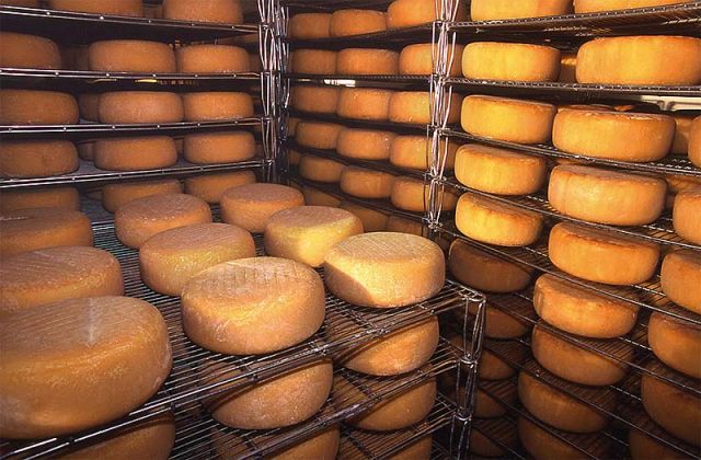 Cheese - Basque Country